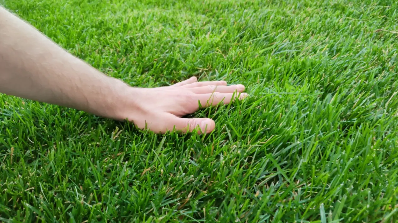 Touching Grass is Underrated